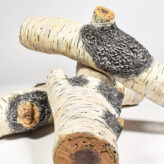 Conoe Birch Branch - Handgefertigtes ENHANCE A FIRE! Deko-Holz aus Burncrete | Radiamo