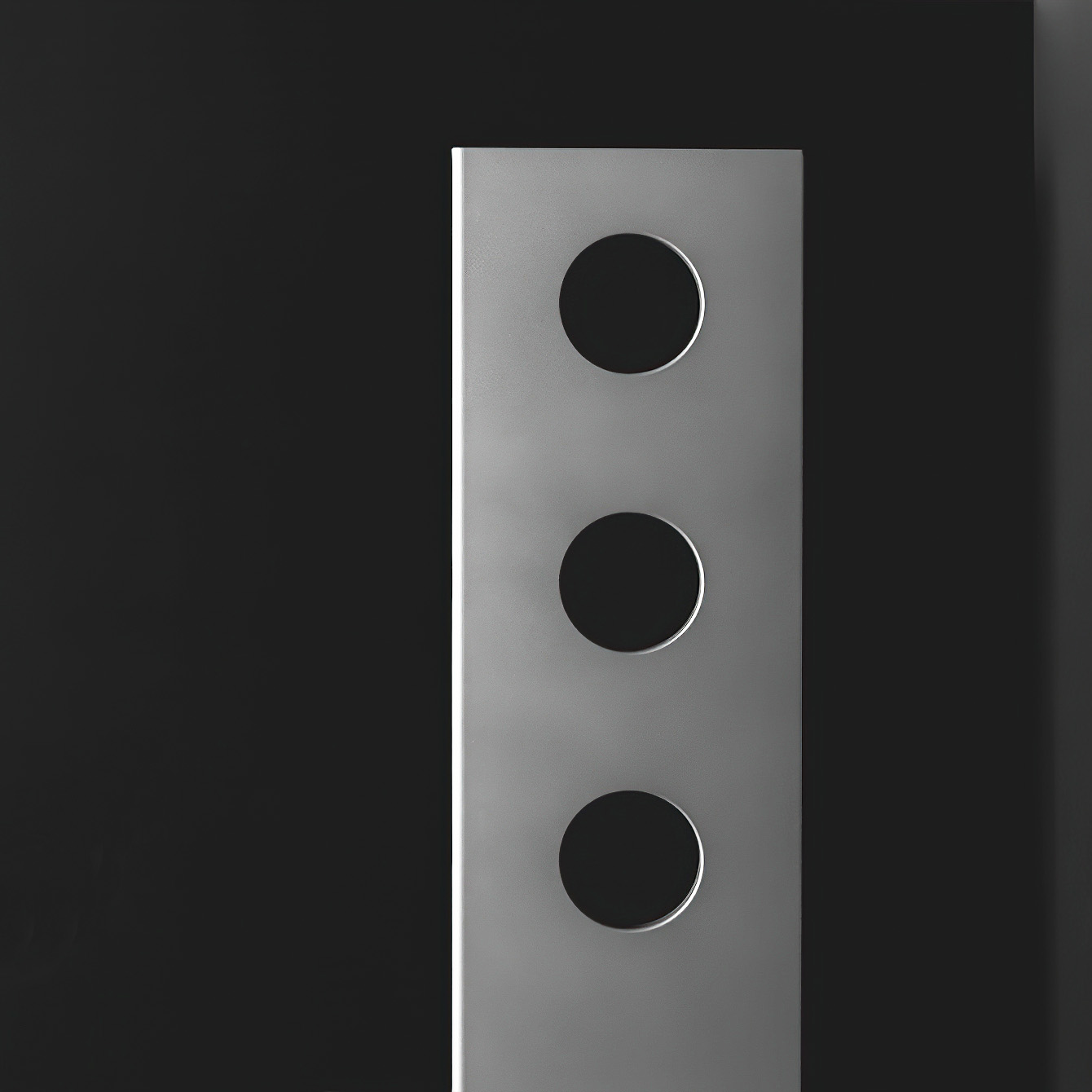 Treo Vertical - Vertikale ANTRAX IT Designheizung (2030 x 398mm) von Andrea Crosetta | Radiamo